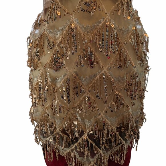 Dress L Sequin Tassel Fringe Sheer Mesh Champaign Louisa Mini Bella Barnett New - Picture 6 of 9